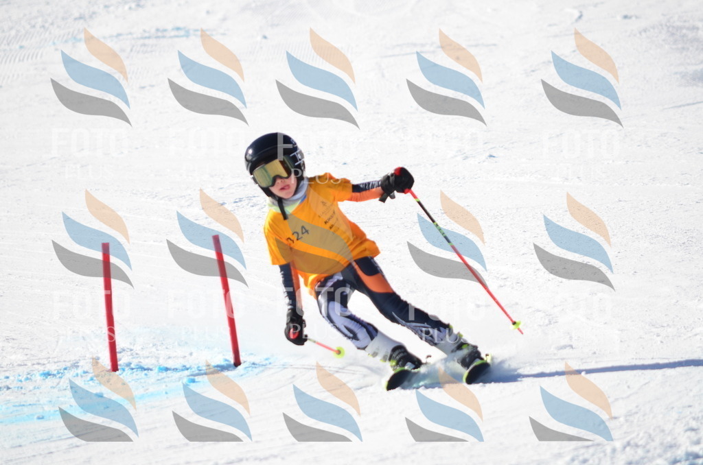 C6378 | holidayphoto