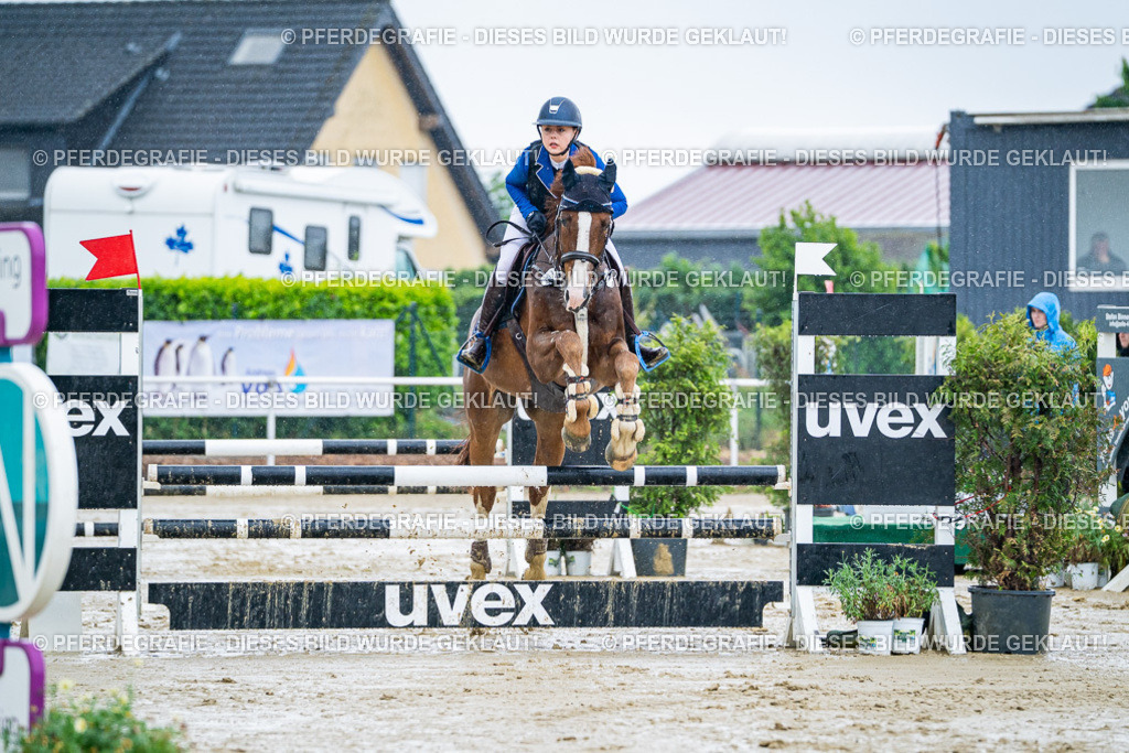 DSC03068 | Pferdegrafie