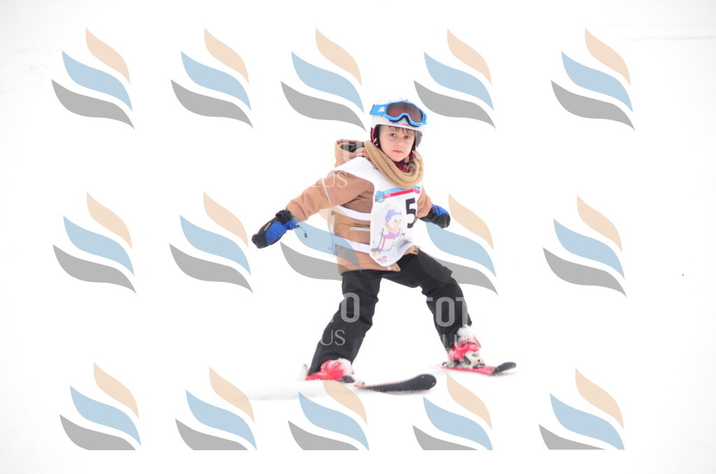 B8936 | holidayphoto