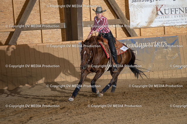 DSC00081 | dv-media-shop - Realized with Pictrs.com