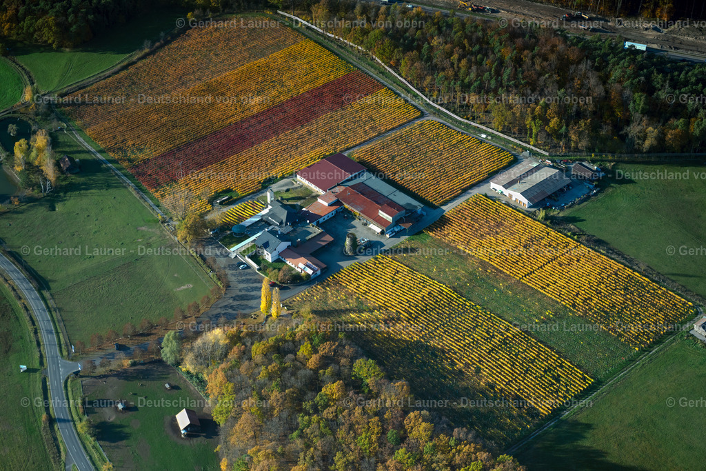 4042649 | Weingut Behringer