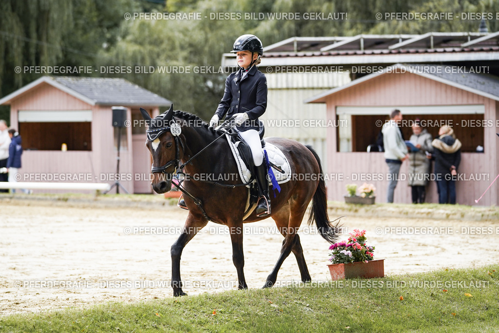 DSC05814 | Pferdegrafie