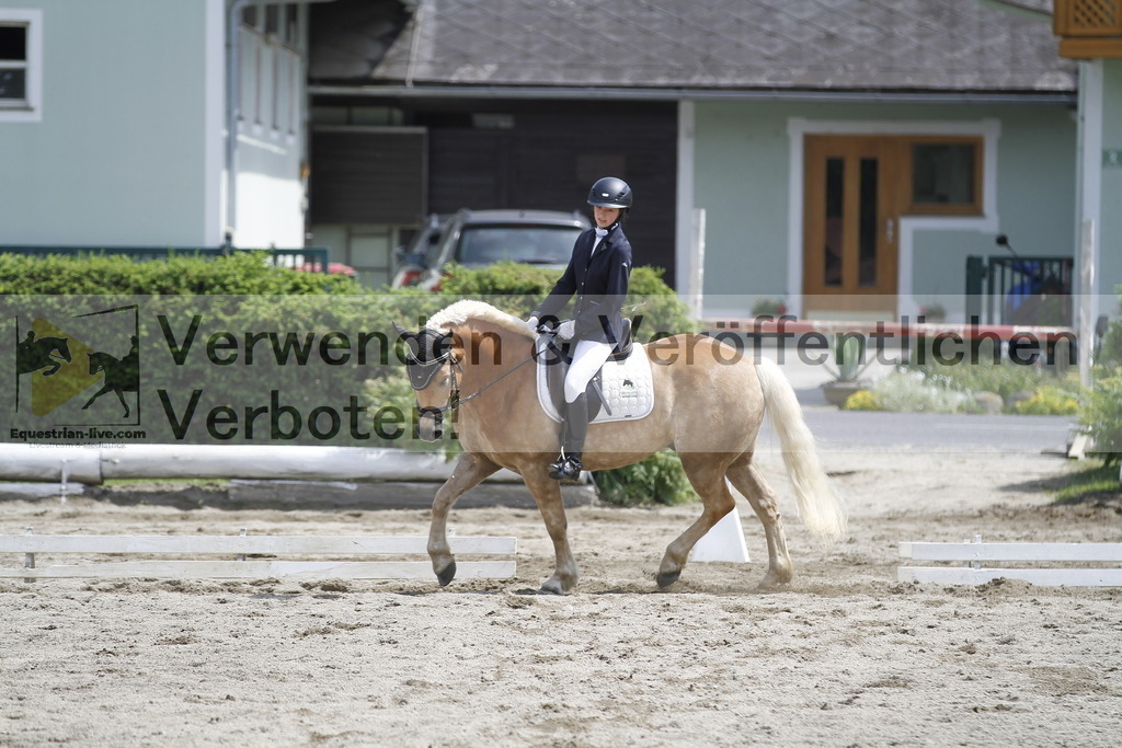 _MG_8541 | equestrian-live-com