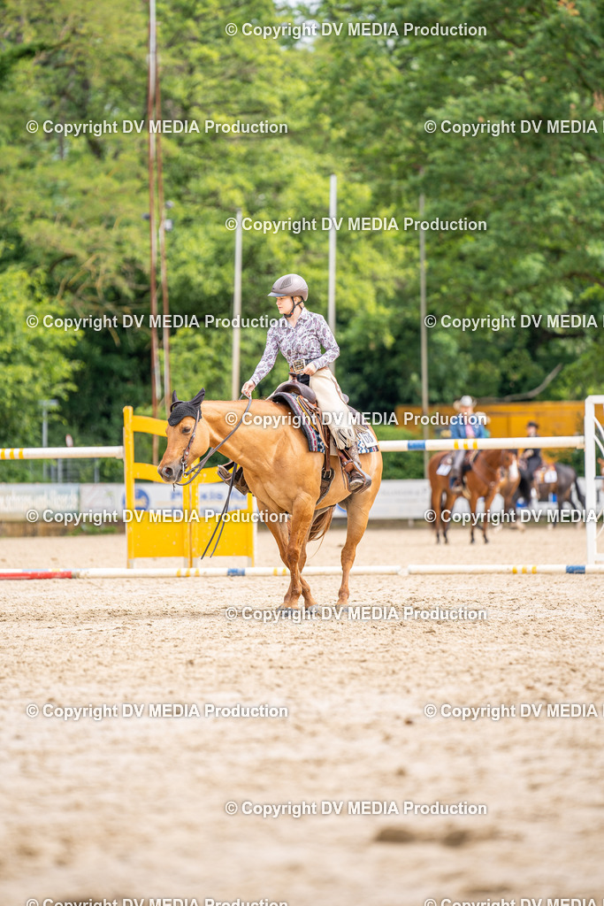 Zeiskam Tag 1-733 | dv-media-shop - Realisiert mit Pictrs.com