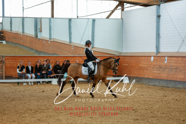 _62_4680 | Turniersportfotografie; Pferdefotografie; Dressurfotografie