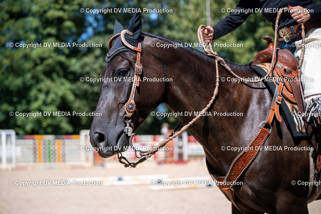 ZS1_1378 | dv-media-shop - Realisiert mit Pictrs.com