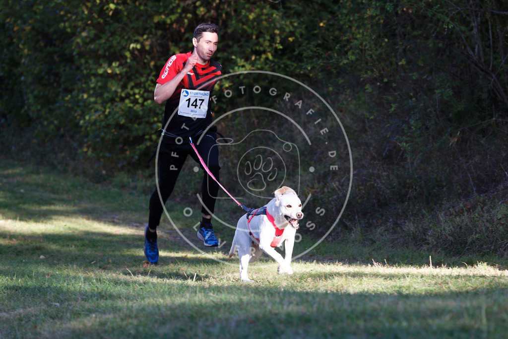 0L8A4944 | Hundefotografie, Tierfotograf, Pfotenfotografie, Fotoshooting Hund, Hunde Portrait, Hundesport, Hundeportraits, Heideshooting, Hunde, Sportfotograf, Hundefotograf, Turnierhundsport, THS,  - Realisiert mit Pictrs.com