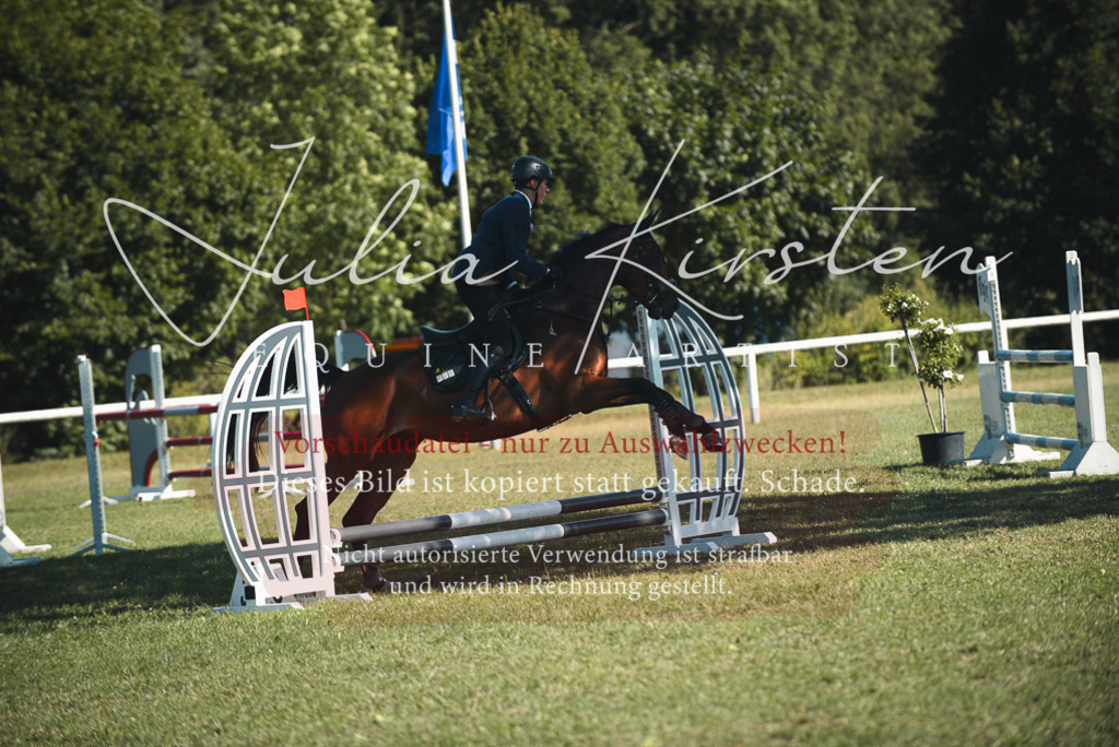 DSC_7702 | Pferde- und Turnierfotografie in Westsachsen. Pferdeportraits, Auftragszeichnungen und intuitive Kunst.