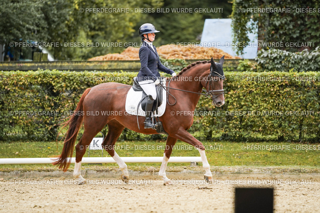 DSC06870 | Pferdegrafie