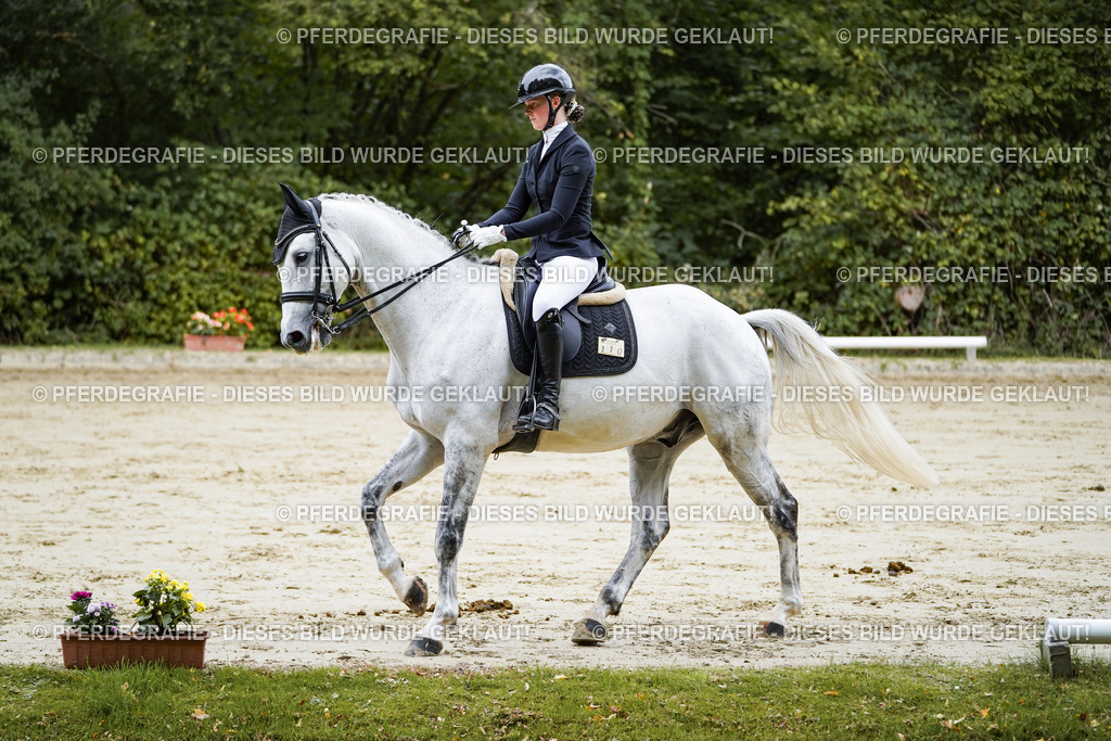 DSC08605 | Pferdegrafie