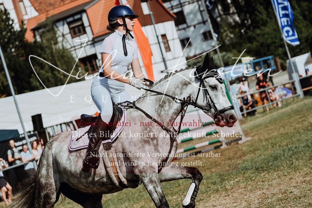DSC_9328 | Pferde- und Turnierfotografie in Westsachsen. Pferdeportraits, Auftragszeichnungen und intuitive Kunst.