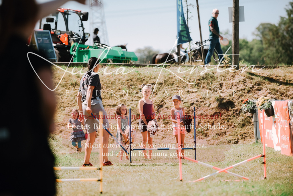 DSC_3002 | Pferde- und Turnierfotografie in Westsachsen. Pferdeportraits, Auftragszeichnungen und intuitive Kunst.