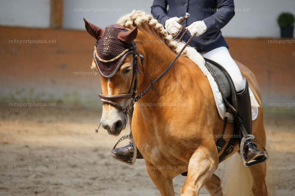JHE_1383 | JoYa Fotografie - Realisiert mit Pictrs.com