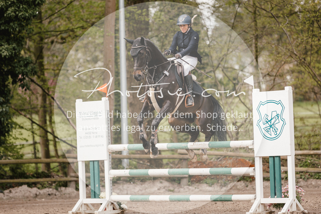 3I6A4283 | Stimmungsvolle Portraits und Reitsportfotografie im Ruhrgebiet und im Münsterland.

Pferdefotografie, Hundefotografie, Tierfotografie, Reportagen, Portraits von Tier und Mensch, Turnierfotografie in Bochum, Recklinghausen, Marl, Haltern am See, Dülmen.. - Realisiert mit Pictrs.com