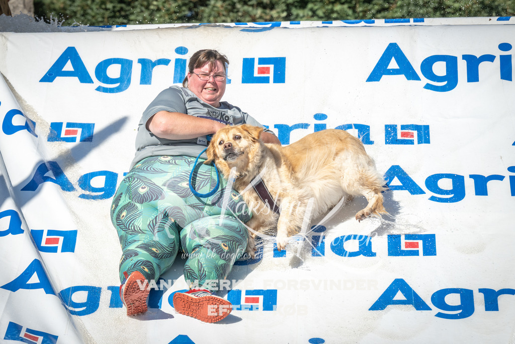 1635_ZZ90667 | kk-dogfotos