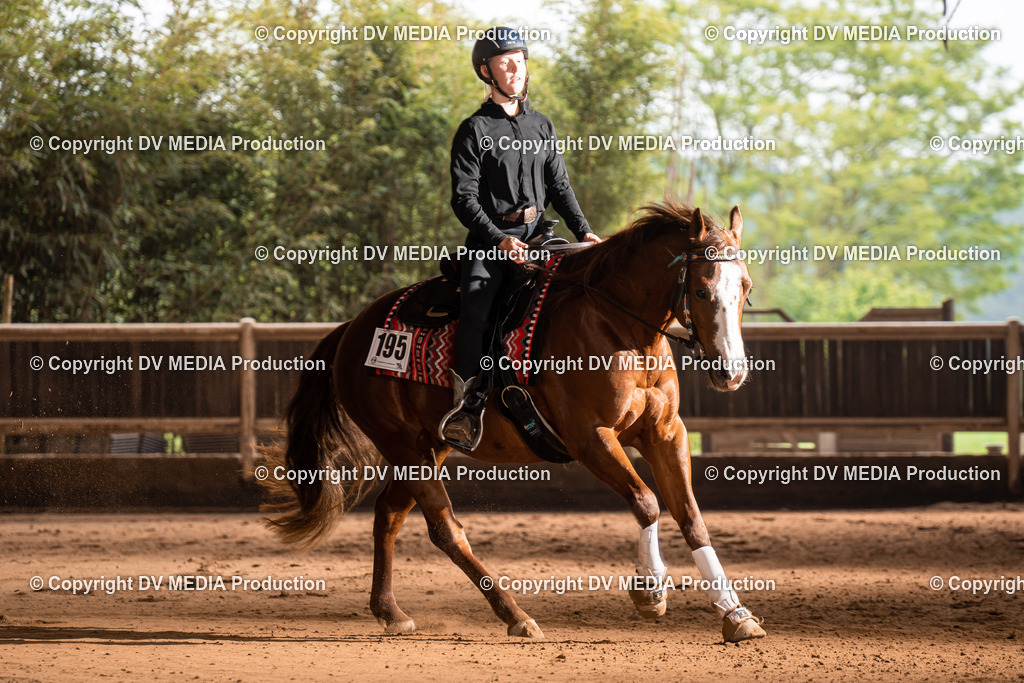 Erbach Tag 2-756 | dv-media-shop - Realisiert mit Pictrs.com