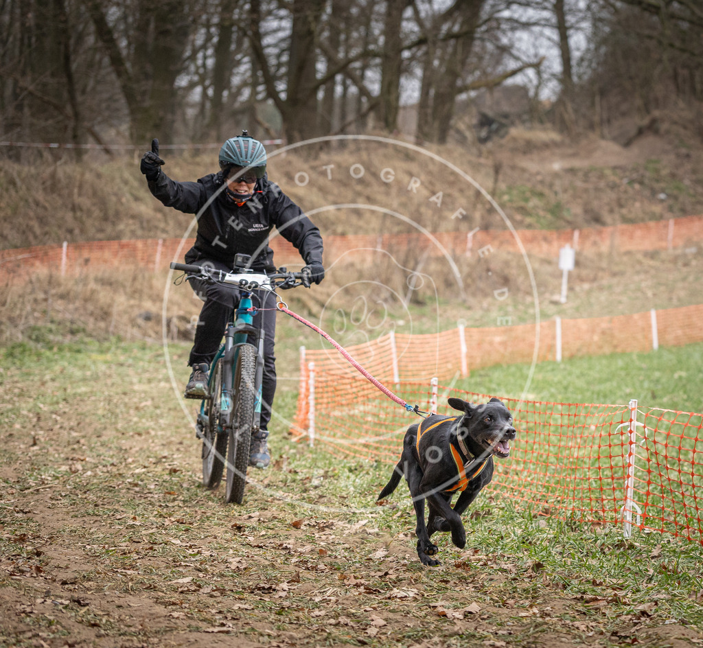 Pfotenfotografie_DV3A5630 | Hundefotografie, Tierfotograf, Pfotenfotografie, Fotoshooting Hund, Hunde Portrait, Hundesport, Hundeportraits, Heideshooting, Hunde, Sportfotograf, Hundefotograf, Turnierhundsport, THS,  - Realisiert mit Pictrs.com