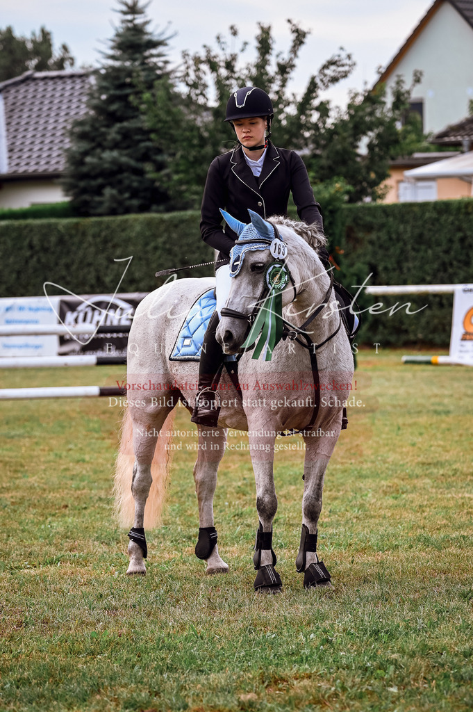 DSC_5776 | Pferde- und Turnierfotografie in Westsachsen. Pferdeportraits, Auftragszeichnungen und intuitive Kunst.