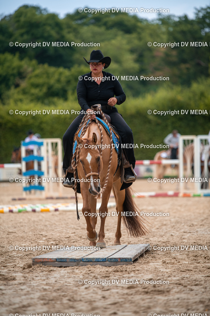 ZS2_8071 | dv-media-shop - Realisiert mit Pictrs.com