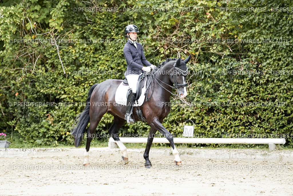 DSC06025 | Pferdegrafie