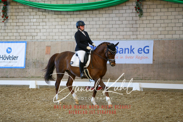 IMG_2956 | Turnierfotos kaufen im Webshop von Daniel Kuhl Photography – entdecke professionelle Reitsportfotos aus Turnieren & Events. Hochwertige Turnierbilder online bestellen & sichern. Jetzt Fotos von Reitsportturnieren kaufen!