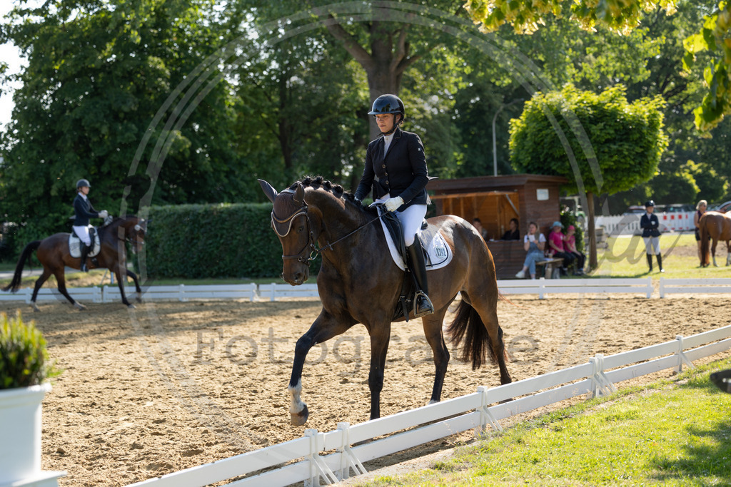 994A3302 | sabrinanicolaifotografie - Realisiert mit Pictrs.com