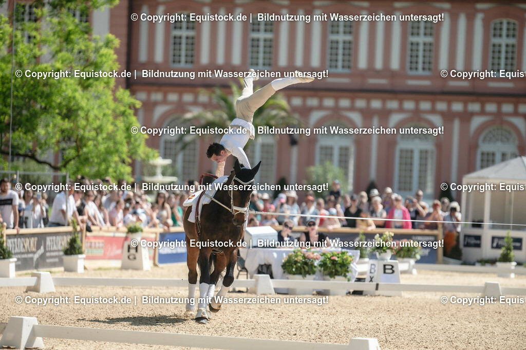 20230528_Voltigieren_NASPA_0167 | equistock