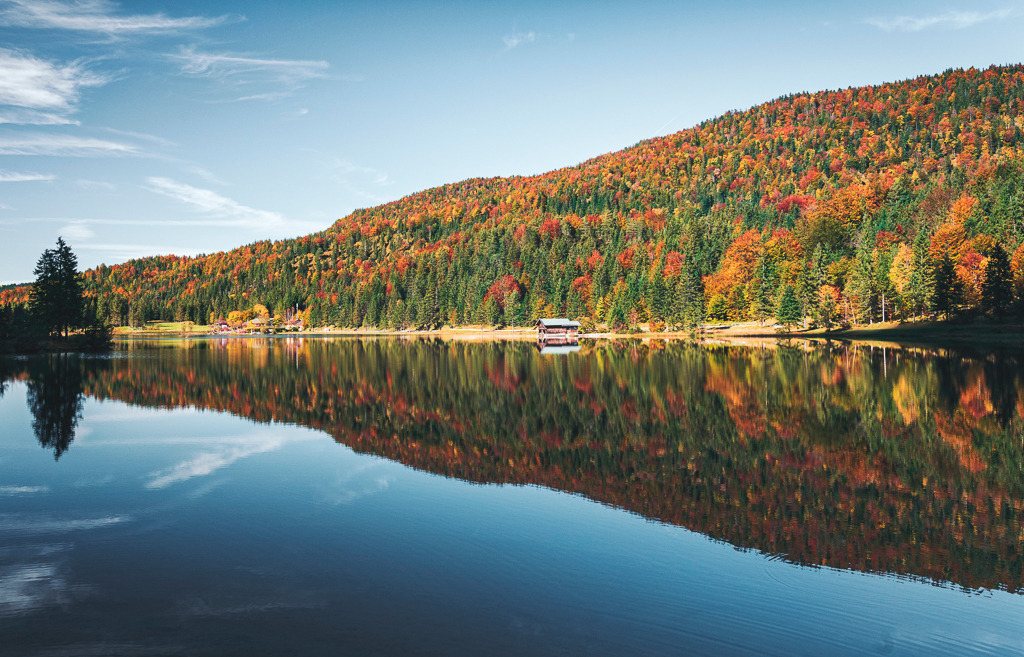 Herbstfarben am Ferchensee  | Am Ferchensee bei Mittenwald zeigt sich der Herbst von seiner farbenprächtigen Seite. Die Bäume leuchten in Rot, Orange und Gelb – gespiegelt im ruhigen Wasser. Ein stimmungsvolles Landschaftsbild voller Klarheit und Farbe. - Realisiert mit Pictrs.com