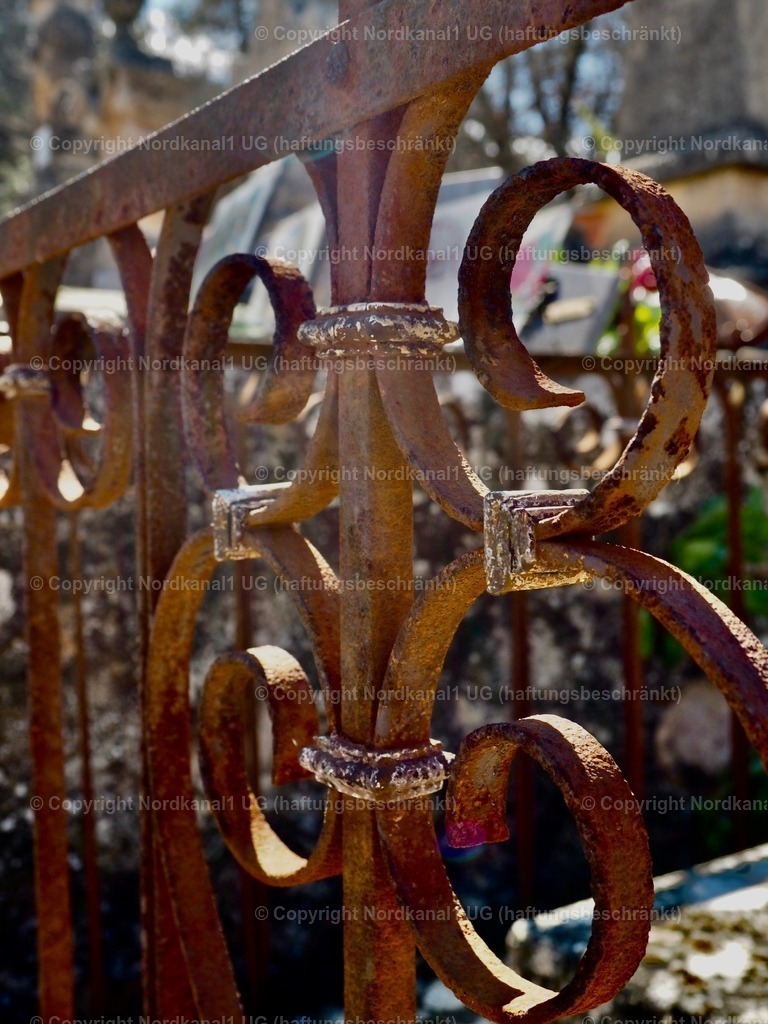 IMG_2865 | OLYMPUS DIGITAL CAMERA          - Realisiert mit Pictrs.com