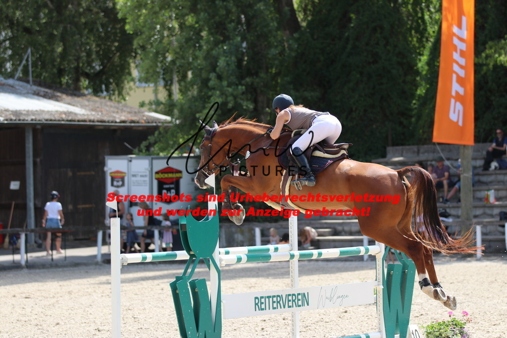 IMG_0429 | lmwpictures - Realisiert mit Pictrs.com