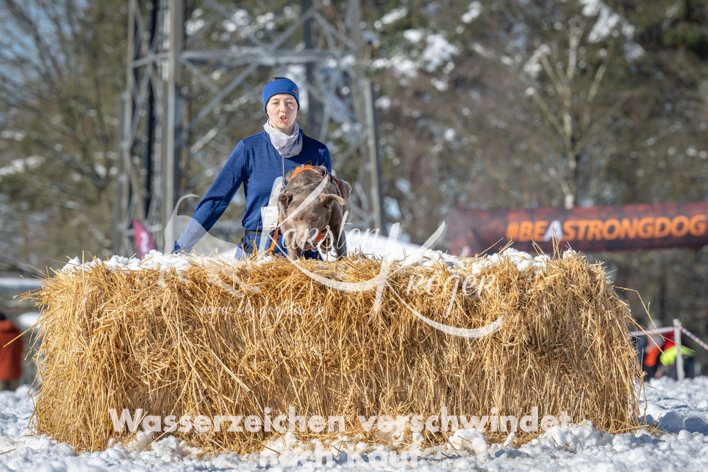 1107_ZZ90027-3 | kk-dogfotos