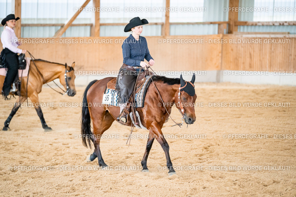 DSC00083 | Pferdegrafie