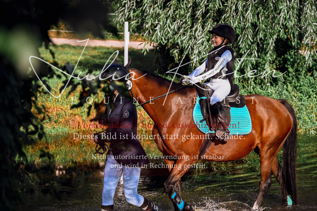 DSC_0299 | Pferde- und Turnierfotografie in Westsachsen. Pferdeportraits, Auftragszeichnungen und intuitive Kunst.