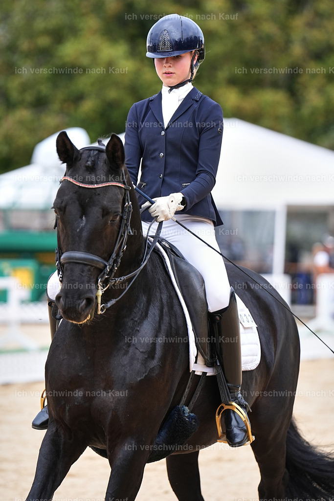 04_1-033-Dressur M__ -Marixx-2760 | working equitationturnier fotograf videograf stoibphotography marixx film working equitation deutschland reitsport turnierfotografie eventfotografie equestrian events