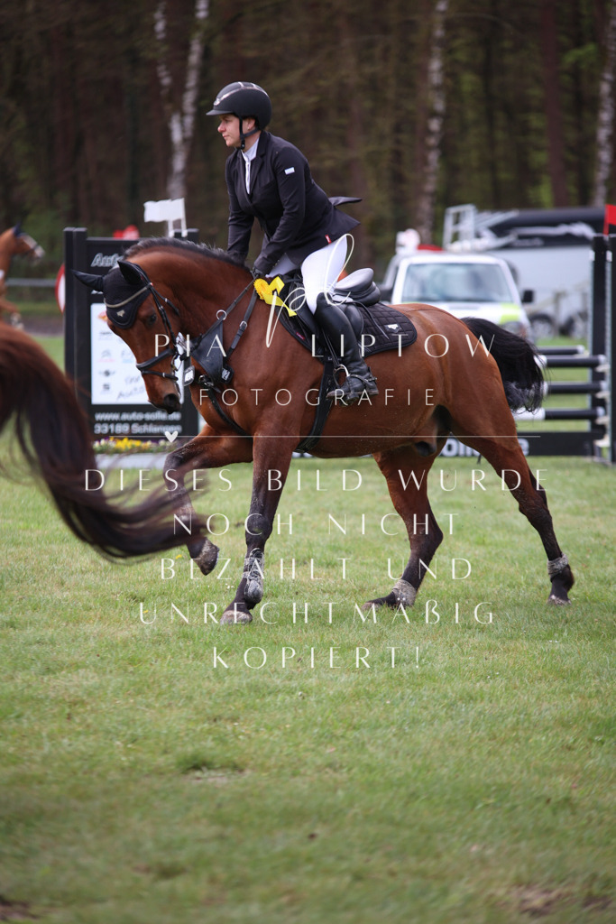 IMGT3397 | pl-fotografie