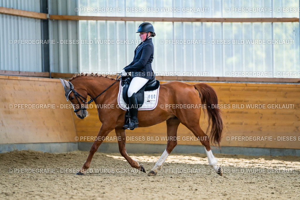 DSC05361 | Pferdegrafie