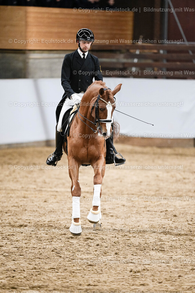 20260307_Hengstvorstellung-Marbach_0325 | equistock