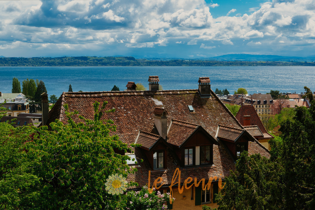DSC_0004-NEF_DxO_DeepPRIME (1) | Dies ist der Shop von Florian Blum - le fleuri. Langenthal, Bern, SchweizSie können hier meine oder ihre eigenen Fotos als Fotoprodukte kaufen. Tassen, Schlüsselanhänger, Taschen etc. können Sie hier gestalten.  - Realisiert mit Pictrs.com