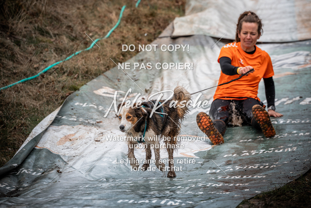 nelerasche_1330-1400_25 | nelerasche