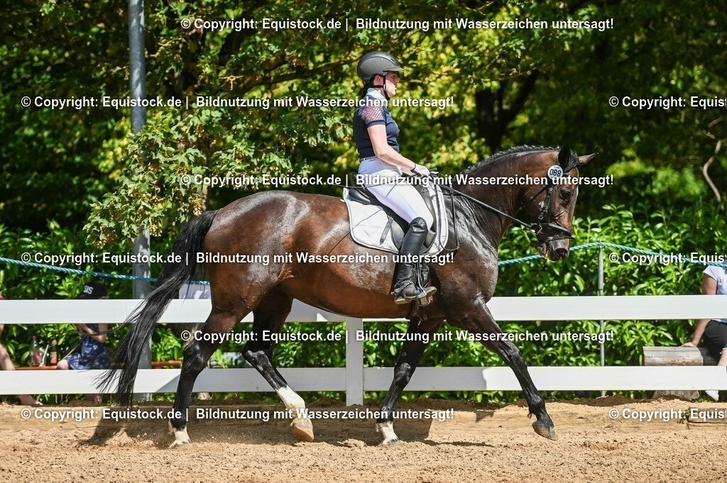 20230715_02_Dressurreiterprüfung Kl.L_0109 | equistock