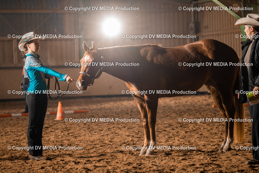 BAL01163 | dv-media-shop - Realisiert mit Pictrs.com