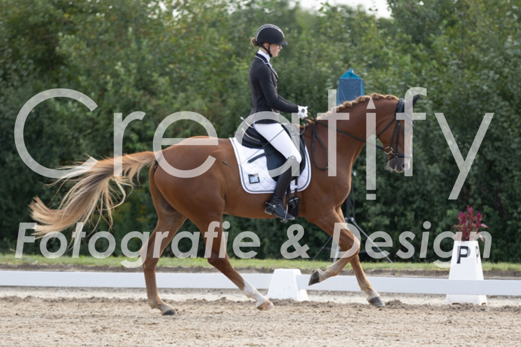 IMG_9788 | Creatify Fotografie