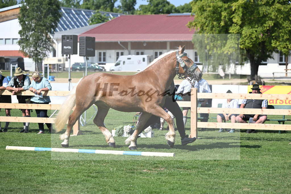 Kat-Nr. 10 Hilla_Hartl_20230151 | hf-fotografie - Realisiert mit Pictrs.com