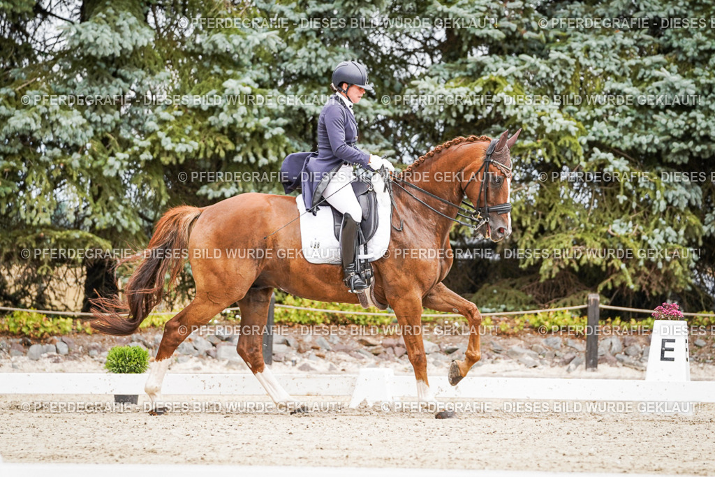 DSC04914 | Pferdegrafie