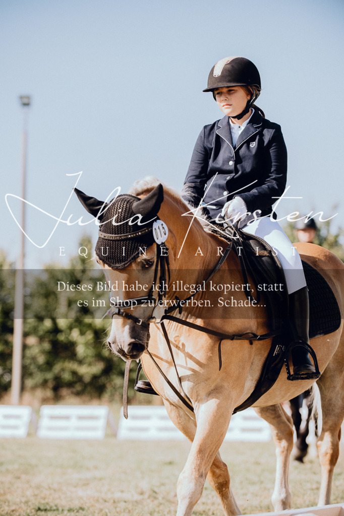 DSC_6865 | Pferde- und Turnierfotografie in Westsachsen. Pferdeportraits, Auftragszeichnungen und intuitive Kunst.
