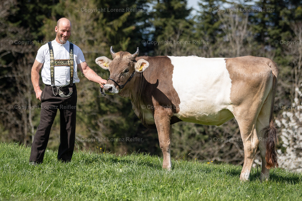 Schwingen -  Lebendpreise Schwägalp 2025 | Schwägalp, 19.4.25, Schwingen - Lebendpreise Schwägalp.