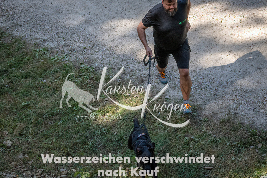 1240_ZZ94773 | kk-dogfotos