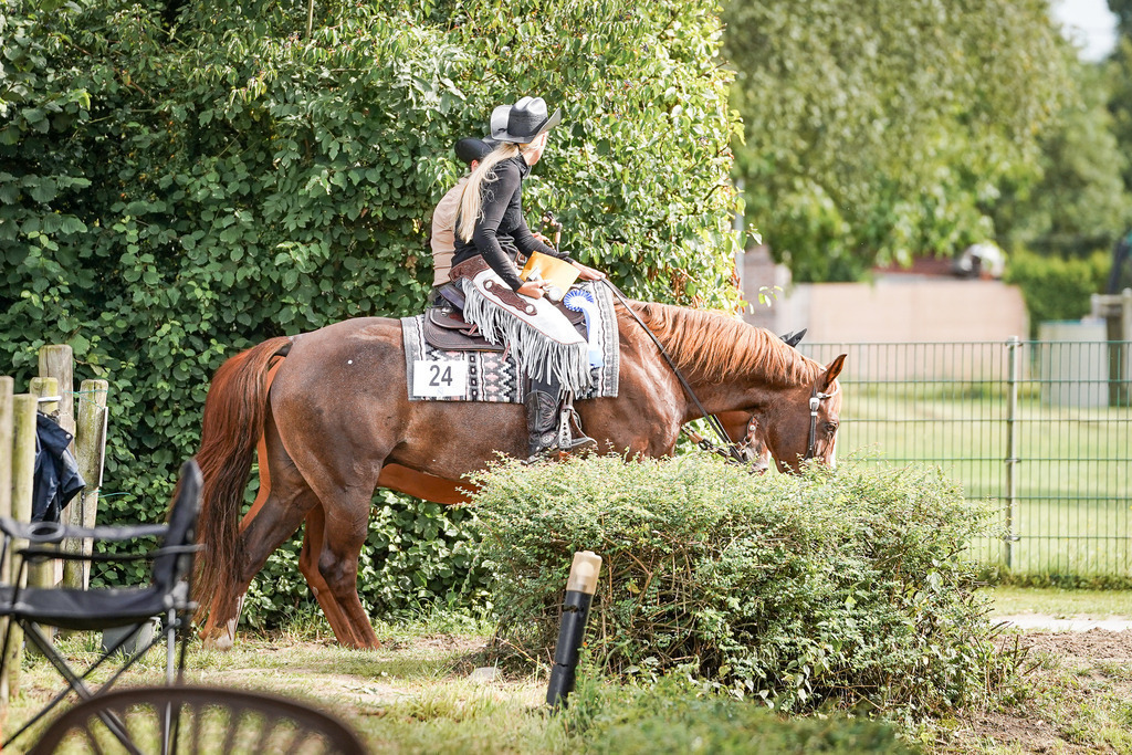 DSC09828 | Pferdegrafie