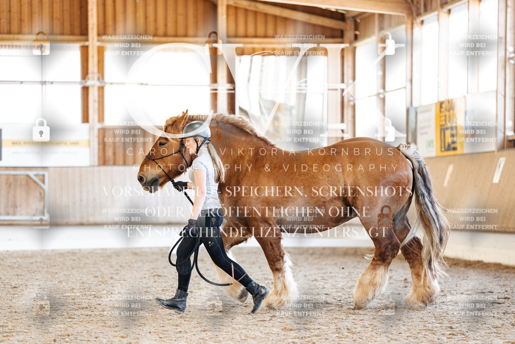 CK906425 | Turnierfotografie Pferdefotografie Trier Rheinland-Pfalz Pferdesport Reitsport Tierfotografie Sportfotografie Pferdevideo Pferdevideografie Equestrianvideography equestrianphotography  - Realisiert mit Pictrs.com
