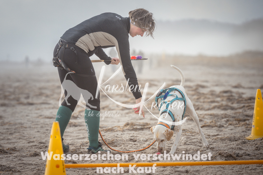 1135_ZZ99564 | kk-dogfotos